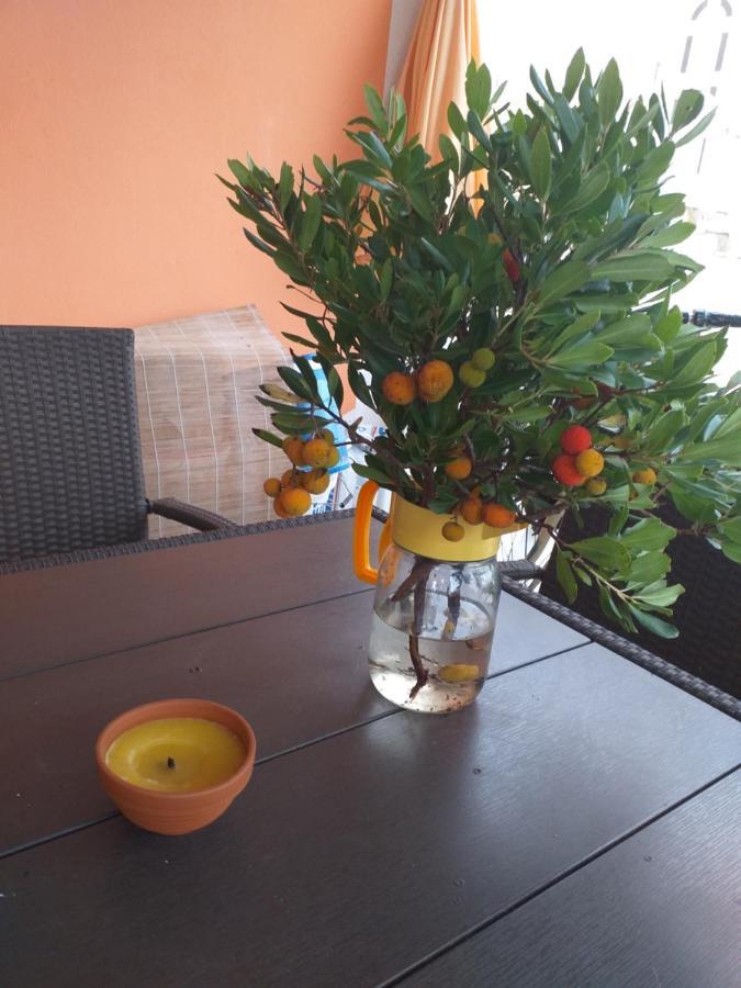 Apartmani Marijanovic Vir Esterno foto