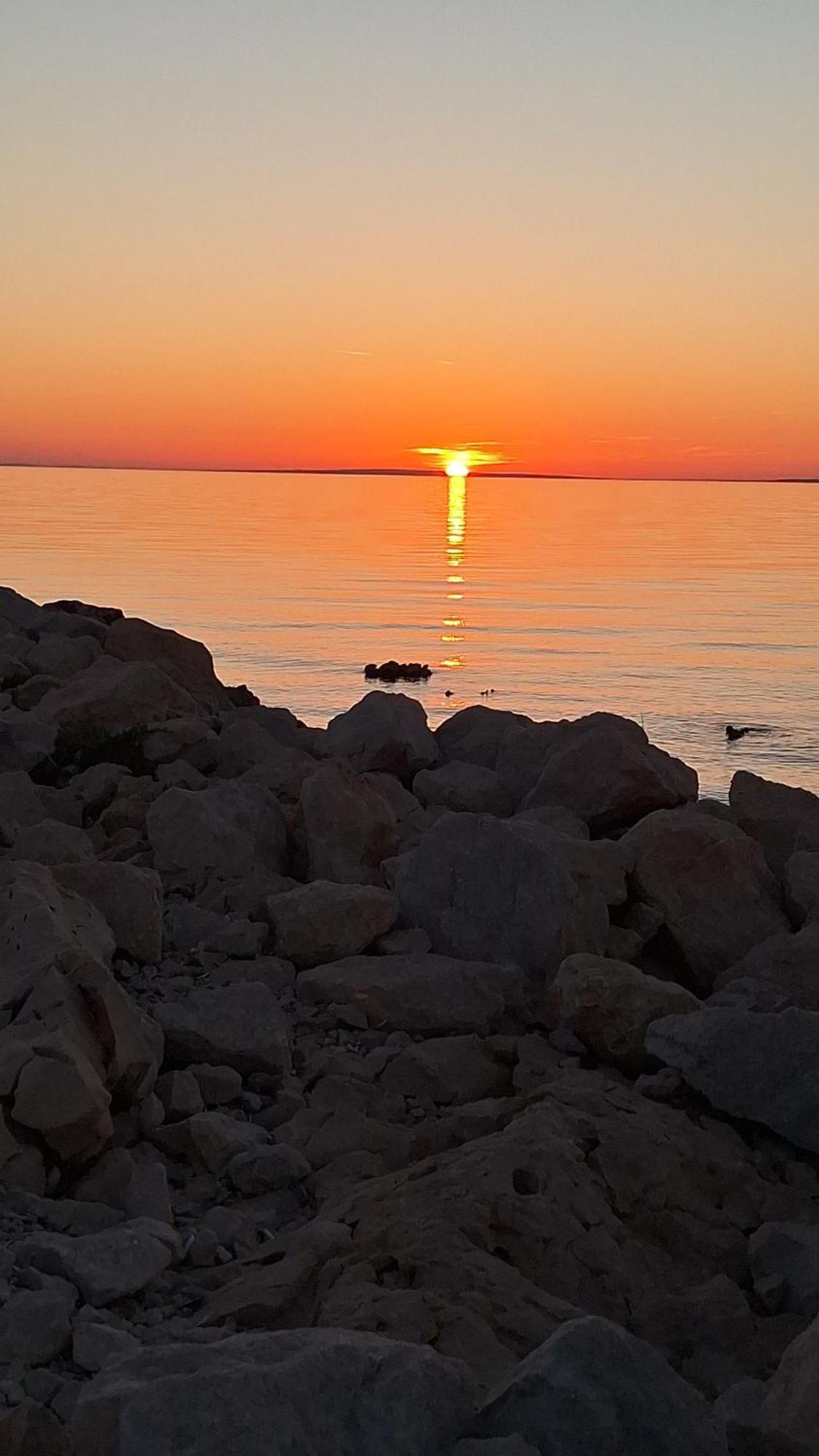 Apartmani Marijanovic Vir Esterno foto